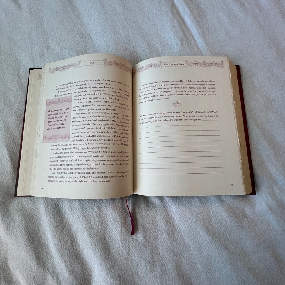 Jesus 90 Days with The One and Only Beth Moore Hardcover Devotional Journal 2007 - Picture 6 of 7